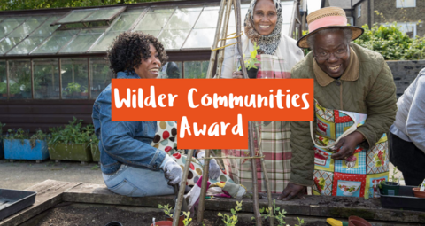 Three woman at a community garden, with the text 'Wilder Communities Award' in white font with an orange box around)