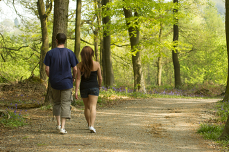 Couple walking down path through woodland
