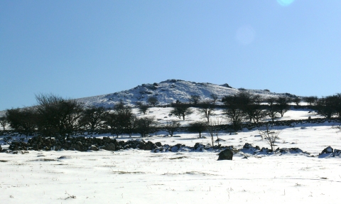 Emsworthy nature reserve in the snow