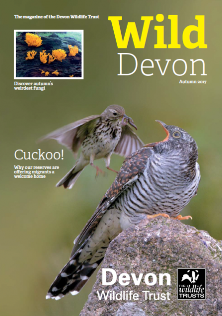 Autumn 2017 edition of Wild Devon