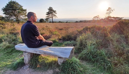 Man sits on bench overlooking heathland