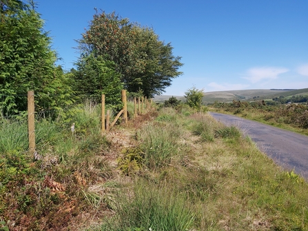 New fence beside road at Ballever nature reserve
