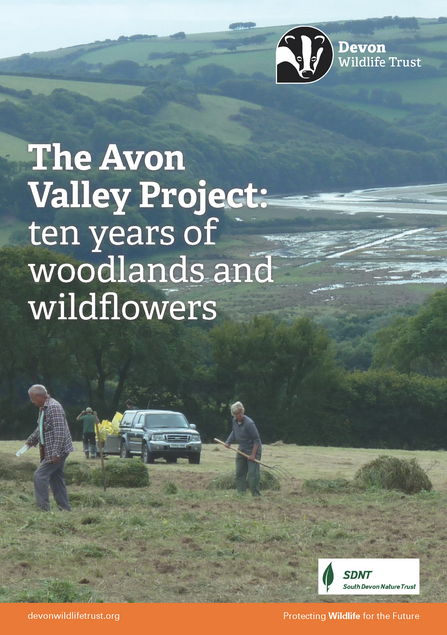 Title page for AVP brochure with words 'The Avon Valley Project: ten years of woodlands and wildflowers'