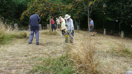 BANG members doing meadow restoration on a local verge