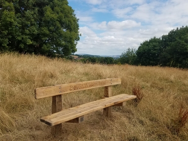 Barley Valley Park | Devon Wildlife Trust