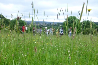 Whitycombe botany workshop with Exeter local group