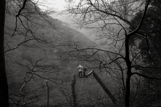 Man on crane felling tree. Black and white image.