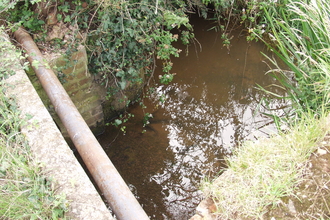 river with pipe above