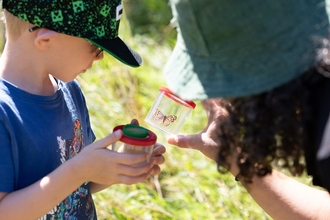 Adult looking at butterfly in bug finder with child