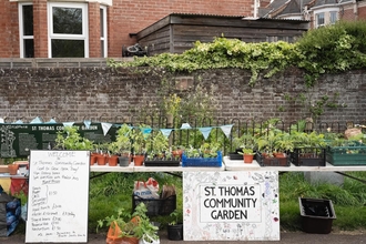 A stall with lots of small plants, a sign in front reads 'St Thomas Community Garden'