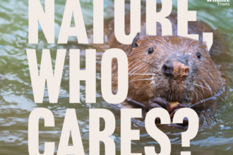 Beaver swimming with words 'nature, who cares?'