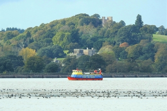 Cruise ship out on the water with woodland behind.