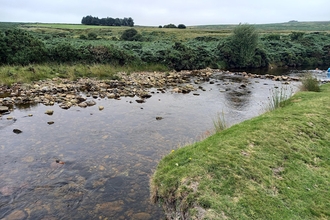 A river carving through the landscape with some trees in the distance.