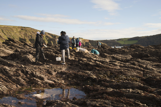 Volunteers searching for species in the rockpools on a sunny day.