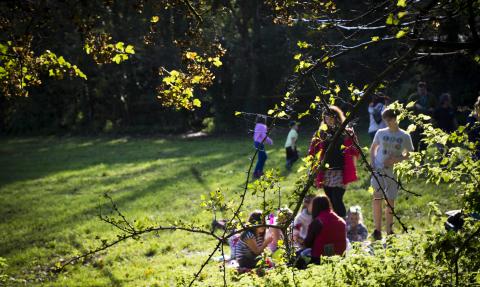 Families playing in a Plymouth green space as part of an Active Neighbourhoods event 