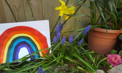 Picture of a rainbow next to grape hyacynth