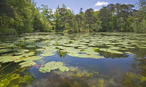 Bystock Pools