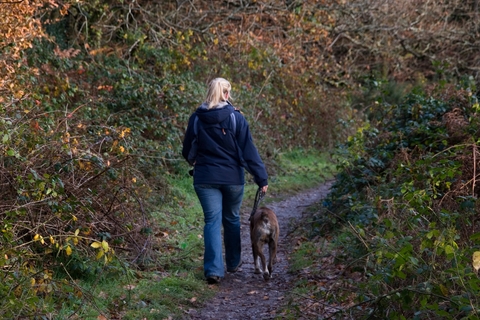 lead the way dog walker