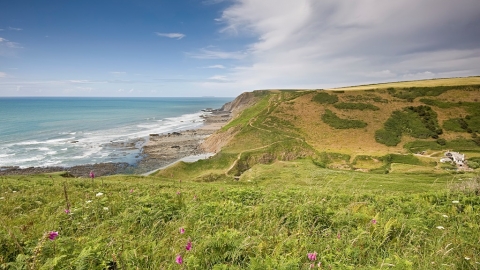 Devon Wildlife Trust's Marsland nature reserve looking out over the sea