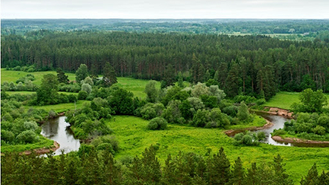 Landscape in the Baltics