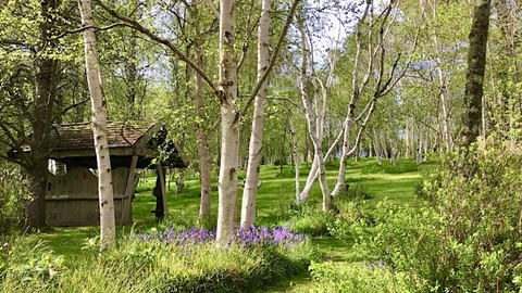 Photo of Stone Lane Gardens in spring, with blooming trees and flowers.