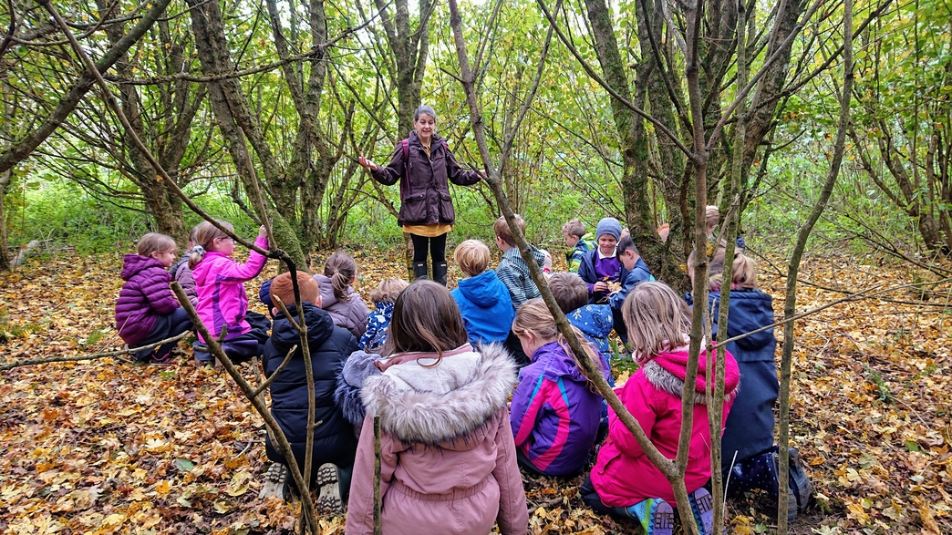 Get involved with the Saving Devon's Treescapes Project – Free Trees ...