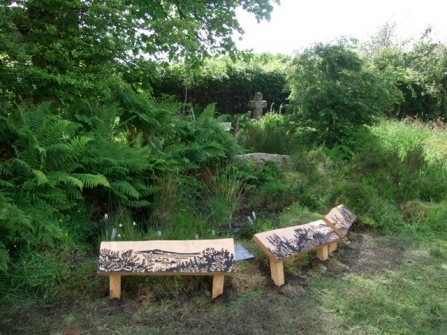 Princetown bog garden 