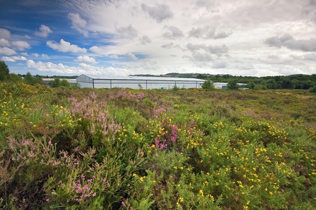 Bovey Heathfield and industrial encroachment