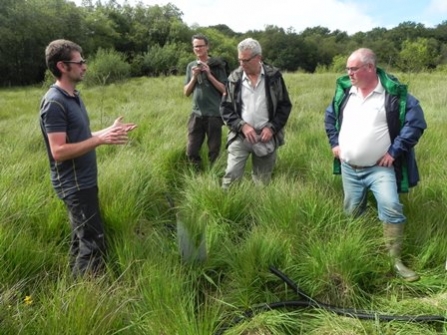 Culm Grassland Natural Flood Management 