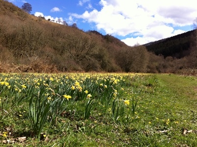 Dunsford will be one of the nature reserves to benefit