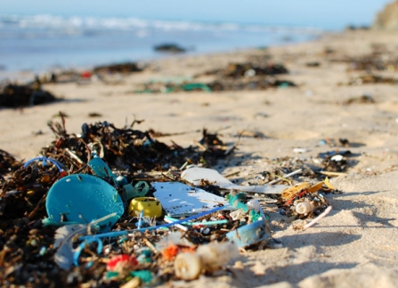 Plastic and waste on the sand