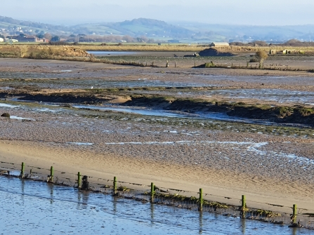 Horsey Island