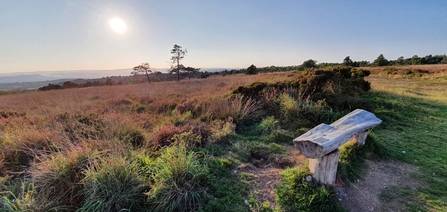 Ideford Common