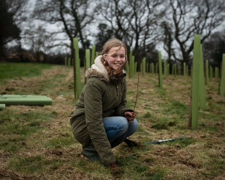 Girl planting trees