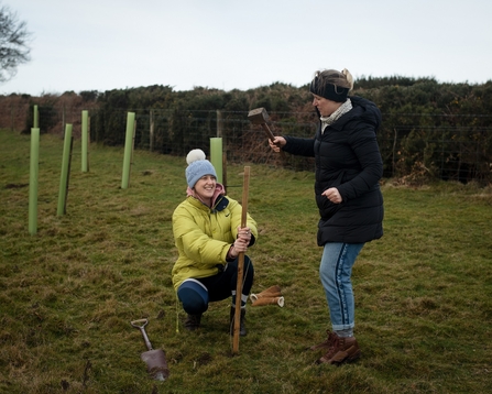 two women planting tree