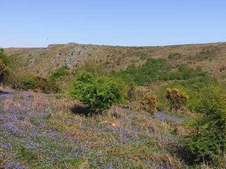 East Dartmoor landscape