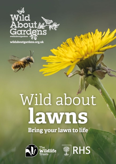 https://www.devonwildlifetrust.org/sites/default/files/styles/scaled_default/public/2023-05/230306%20RSWT%20Wild%20about%20Lawns_Booklet%202023%20web%20no%20logo-1.jpg?itok=ttupoyQD