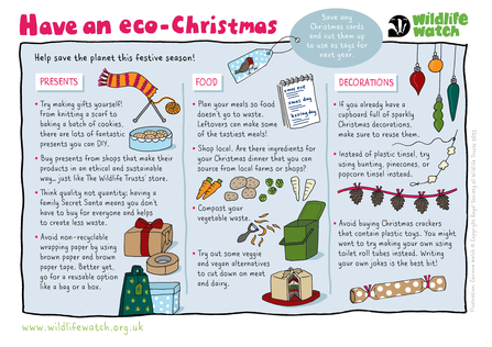 Eco-Christmas