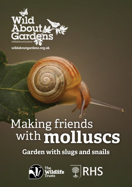 Front page of Wild About Gardens guide with words 'Making friends with molluscs' and a photos of a snail