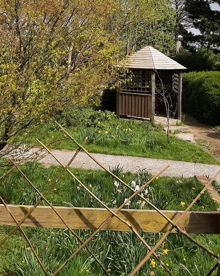 A garden with a wooden gazebo