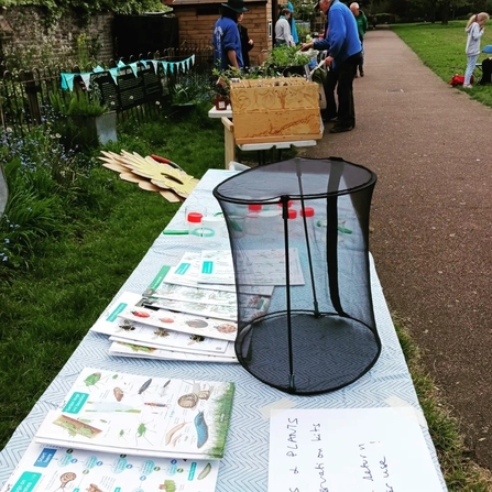 A table with some wildlife ID guides, magnifying pots, butterfly nets