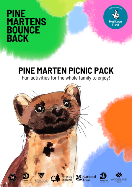 Pine marten picnic pack cover photo