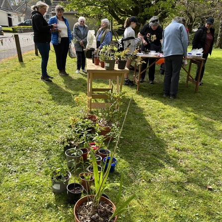 Plants lined up on the ground and on tables and people gathered around them