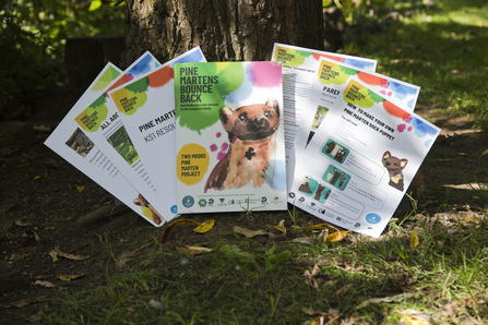 Examples of pine marten school resources