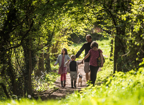 Family walking at Mincinglake Valley Park